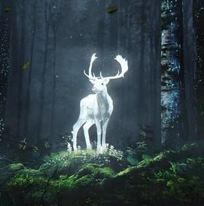 Meet your Posher, Vickie